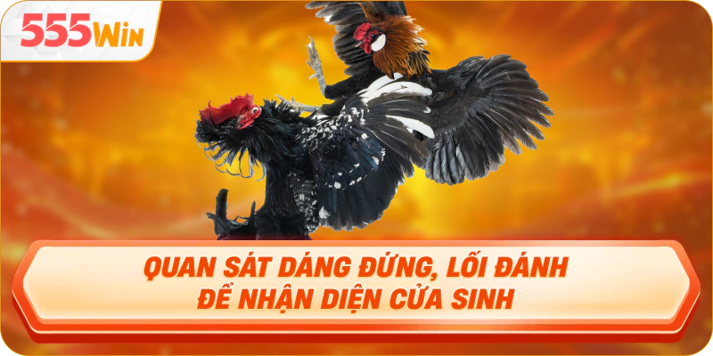 Quan sát dáng đứng, lối đánh để nhận diện cửa sinh